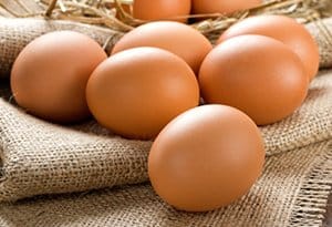 Eier aus Freilandhaltung