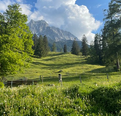 Malerische Alpenwiese mit Bergen im Hintergrund unter blauem Himmel - Frische Zutaten für Burgerme Burger aus der Natur.