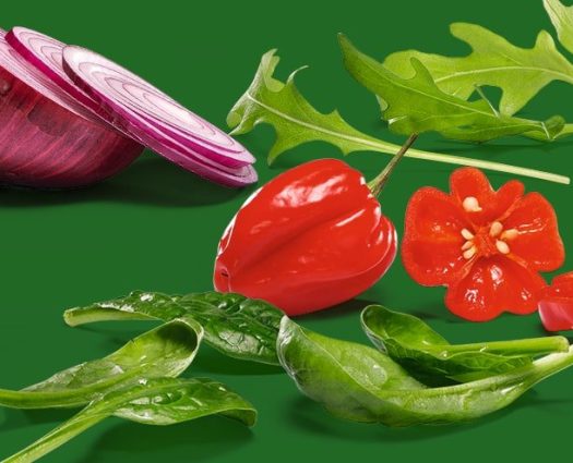 Frische Zutaten für Burger: Zwiebel, Rucola, Paprika und Spinat bei burgerme vor grünem Hintergrund.